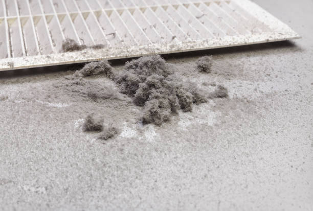 Best HVAC Air Duct Cleaning  in Adelanto, CA