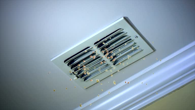 Affordable HVAC Duct Cleaning in Adelanto, CA